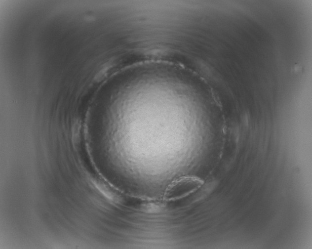 X0000082940660200702011307