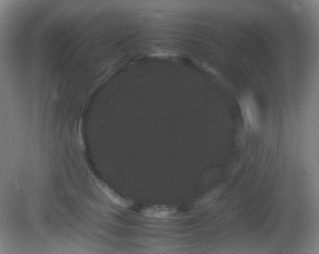 X0000082940661200702011307