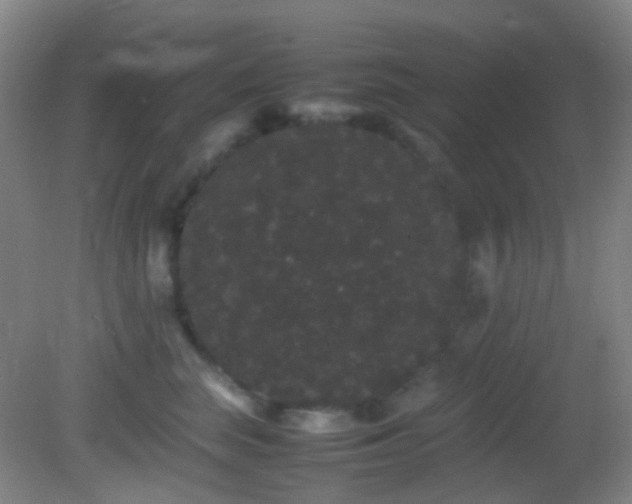 X0000082940663200702011307
