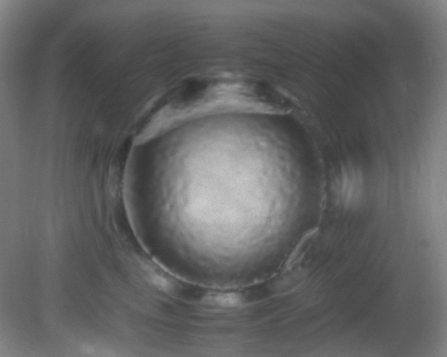 X0000082940665200702011307