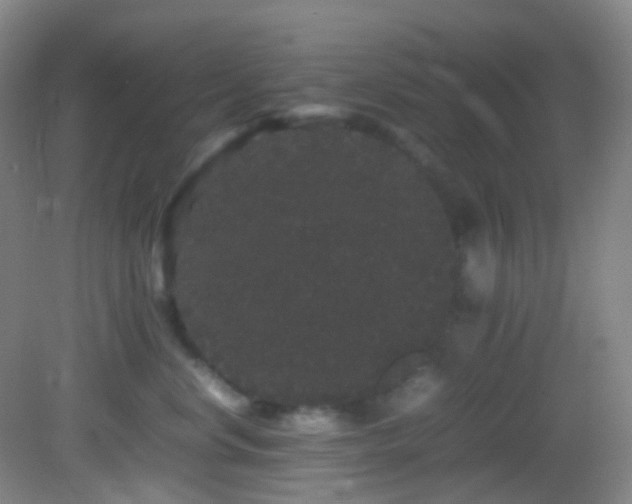 X0000082940668200702011307