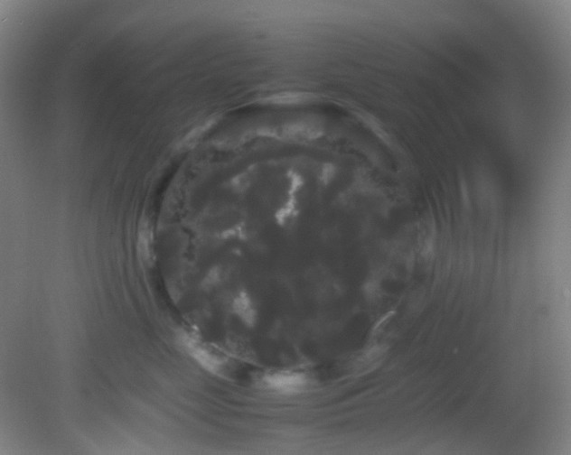 X0000082940669200702011307