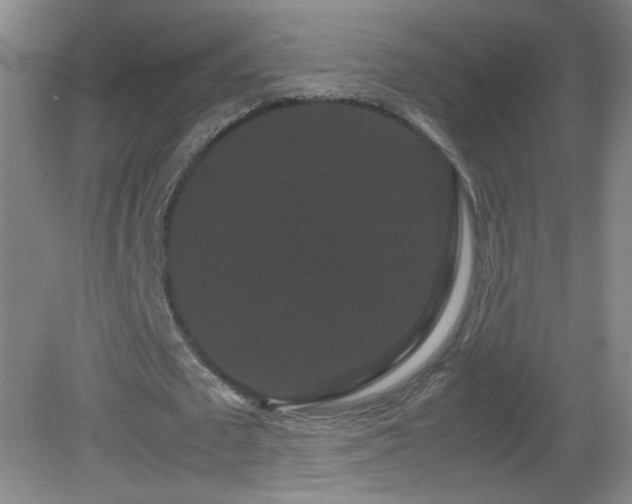X0000082940673200702011306