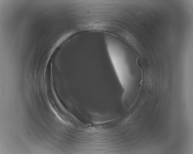 X0000082940674200702011306