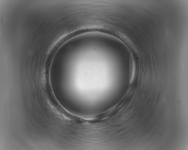 X0000082940676200702011306