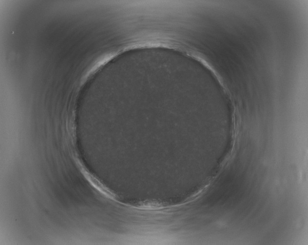 X0000082940677200702011306