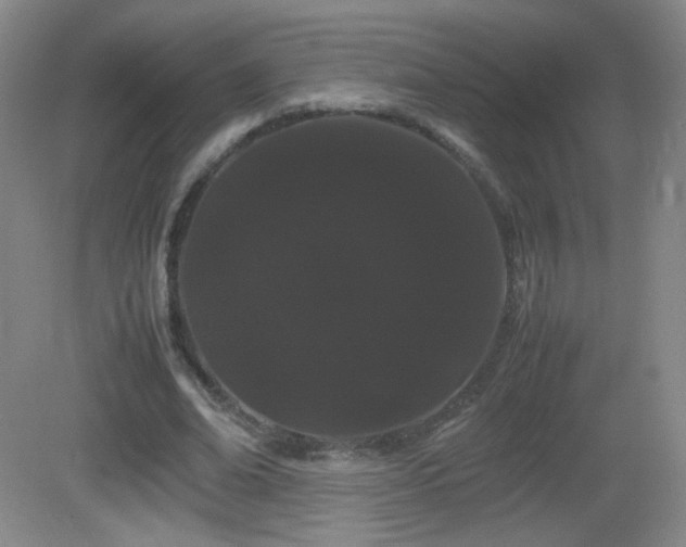 X0000082940678200702011306