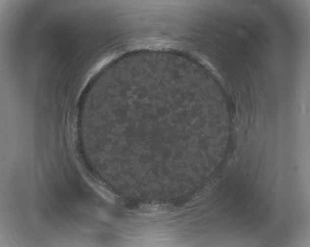 X0000082940679200702011306