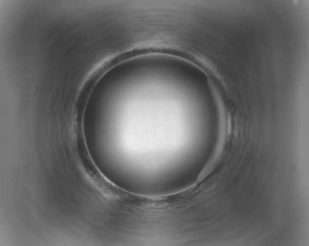 X0000082940680200702011306