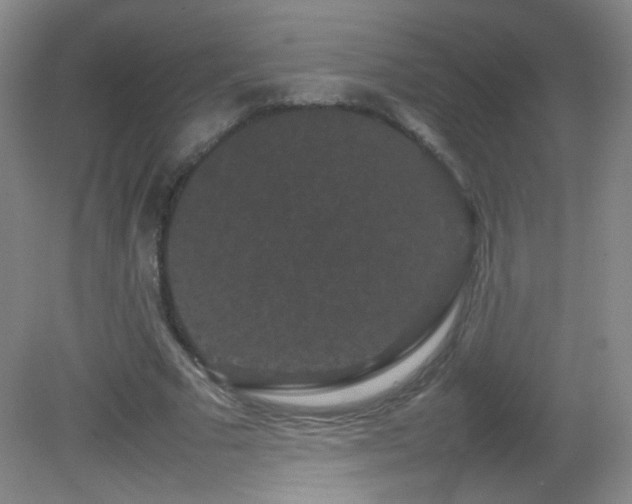 X0000082940681200702011306