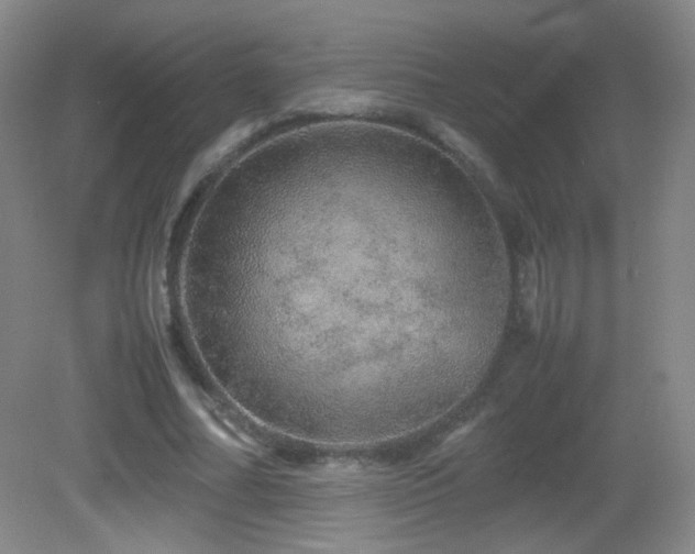X0000082940682200702011306