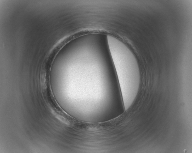 X0000082940684200702011306