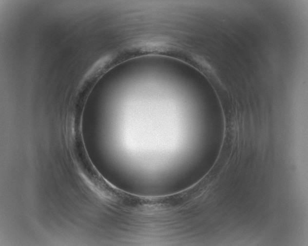 X0000082940686200702011306