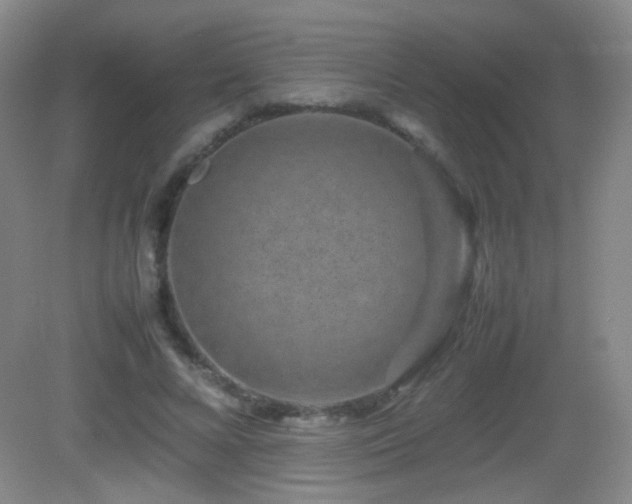 X0000082940688200702011306