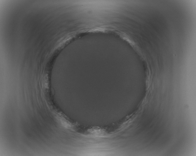 X0000082940689200702011306