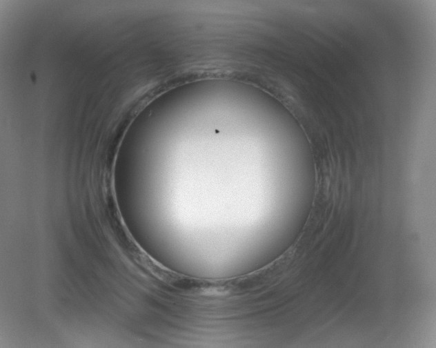 X0000082940692200702011306