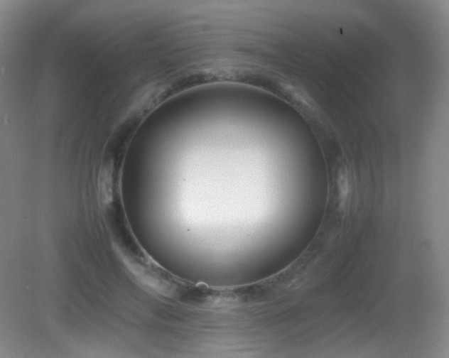 X0000082940694200702011306