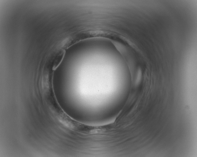 X0000082940700200702011306