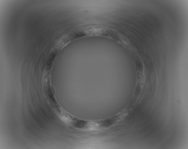X0000082940701200702011306