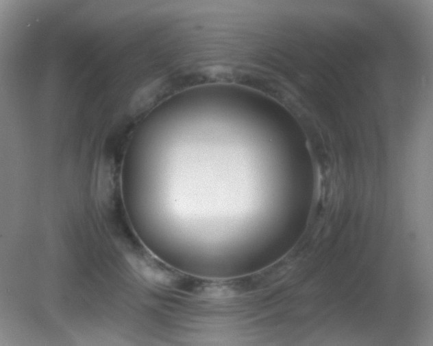 X0000082940702200702011306