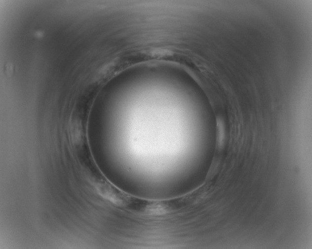 X0000082940704200702011306
