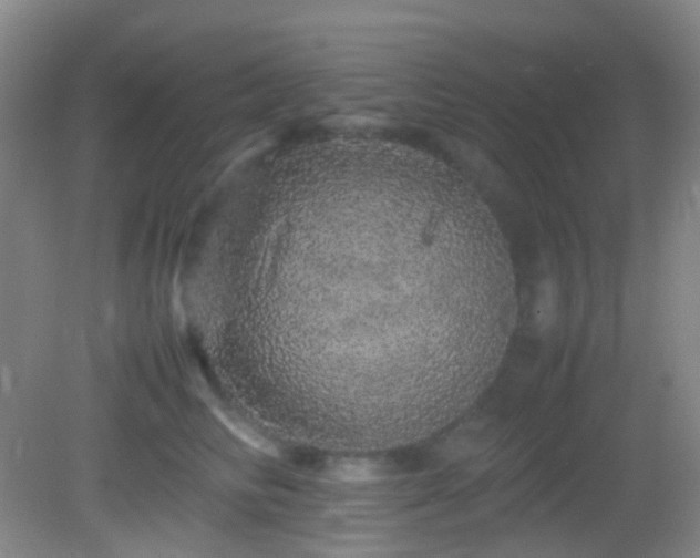 X0000082940710200702011306