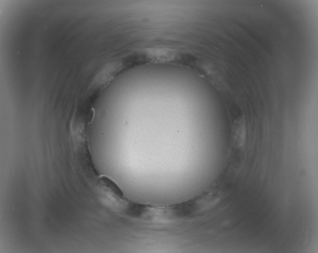 X0000082940713200702011306