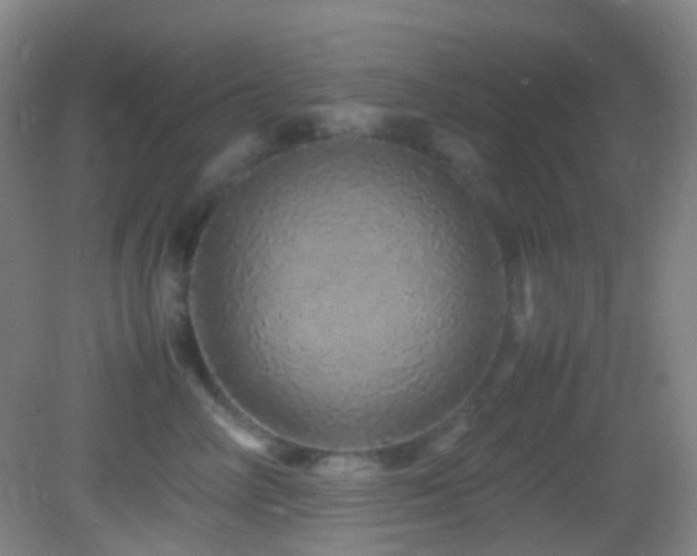 X0000082940714200702011306