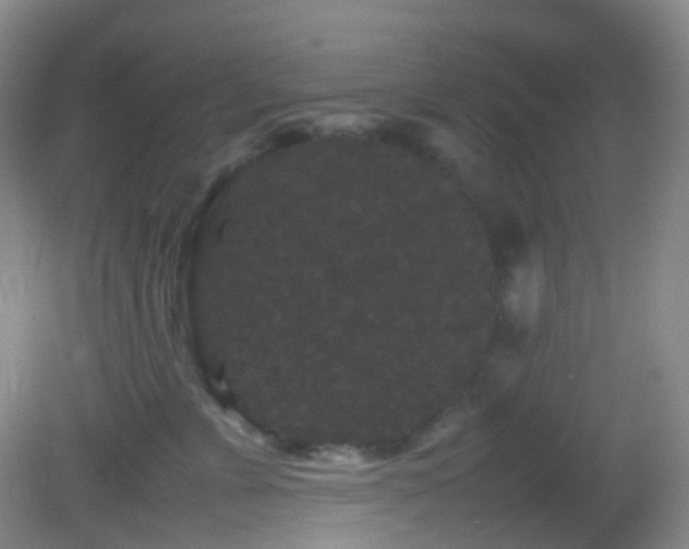 X0000082940715200702011306