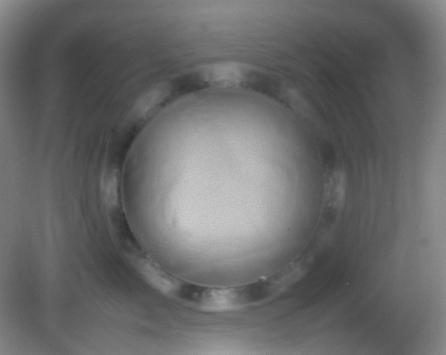 X0000082940717200702011306