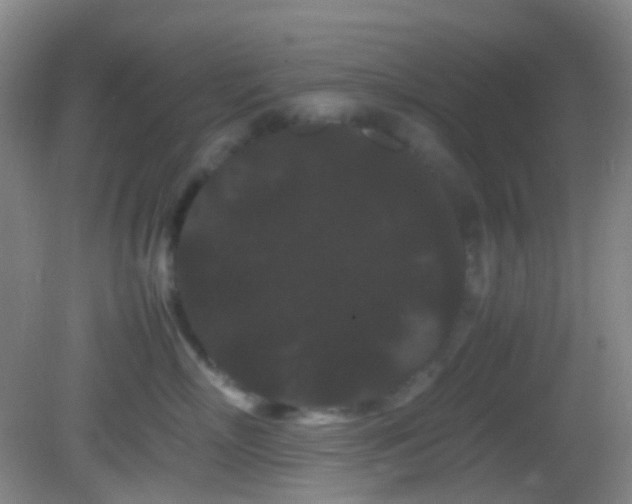 X0000082940718200702011306