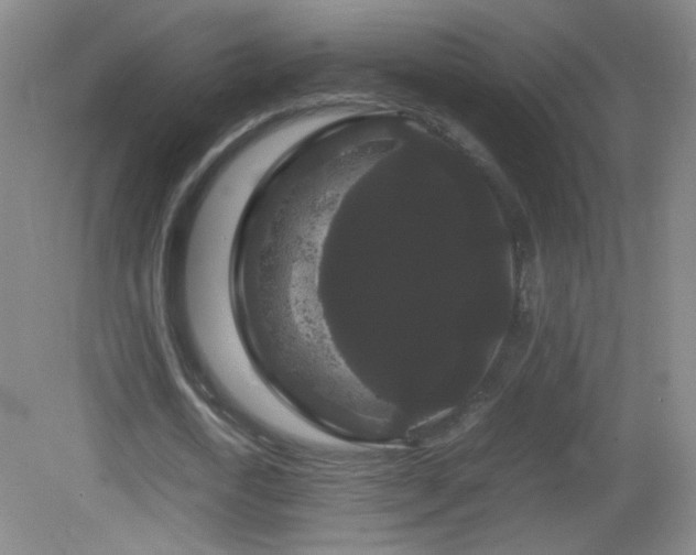 X0000082940722200702011305