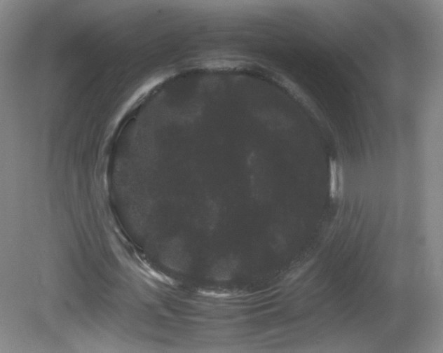 X0000082940723200702011305