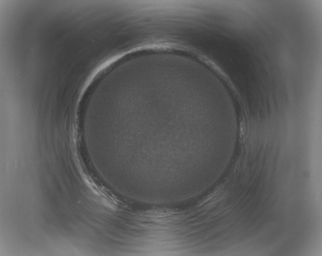 X0000082940724200702011305