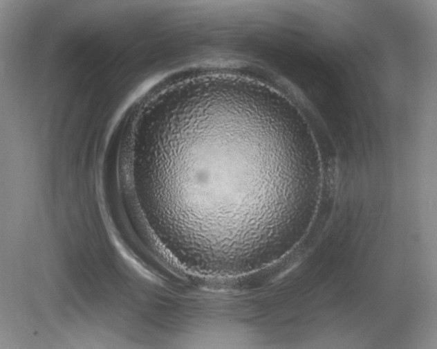 X0000082940726200702011305