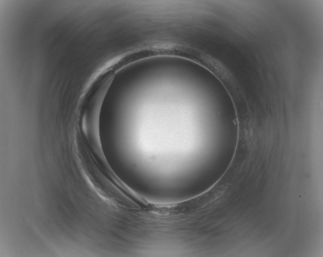 X0000082940728200702011305