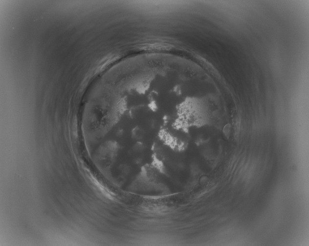 X0000082940729200702011305