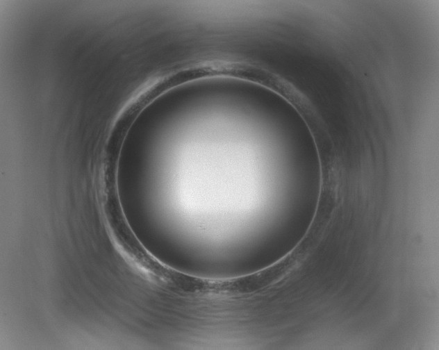 X0000082940730200702011305