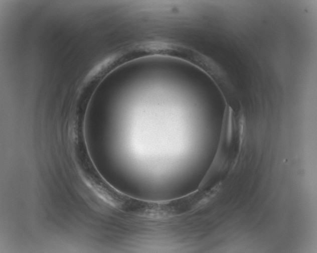 X0000082940732200702011305