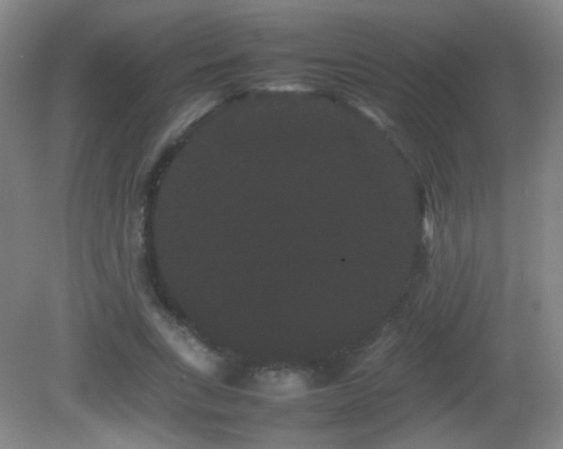 X0000082940735200702011305