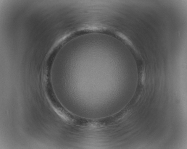 X0000082940736200702011305