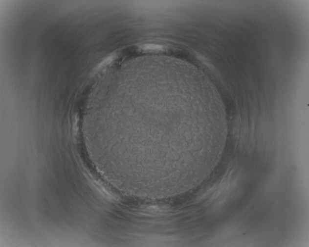 X0000082940737200702011305