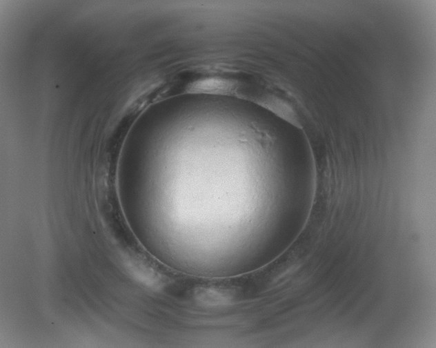 X0000082940739200702011305