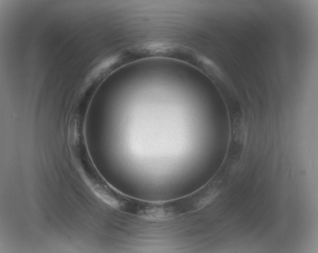X0000082940740200702011305