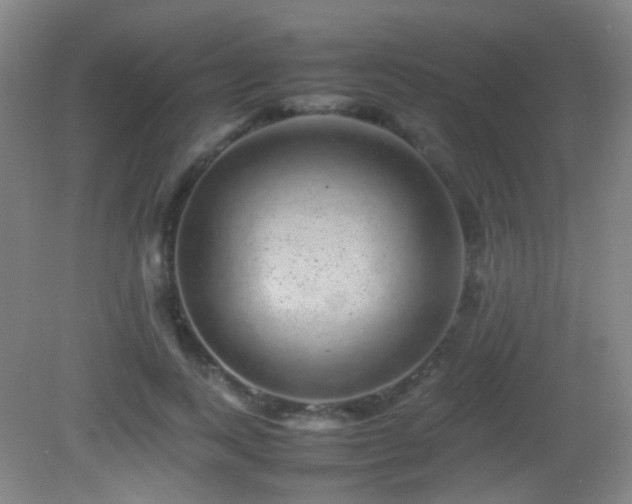 X0000082940743200702011305