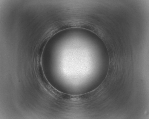 X0000082940744200702011305