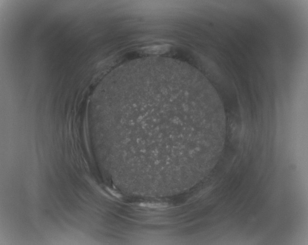X0000082940745200702011305