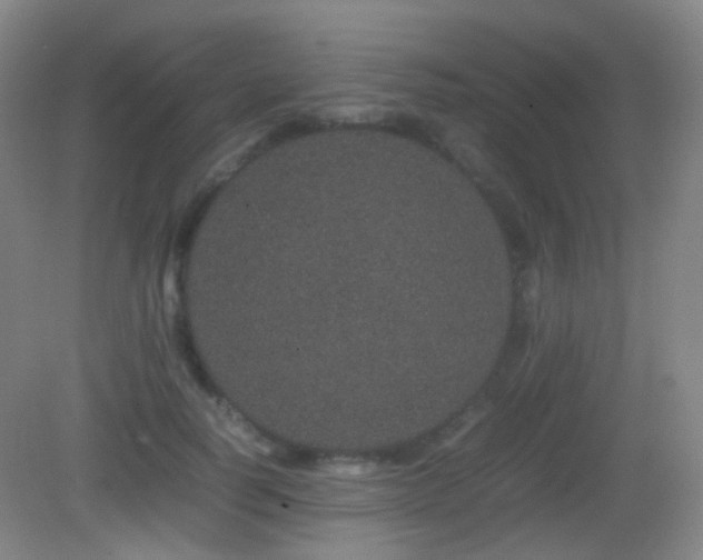 X0000082940746200702011305