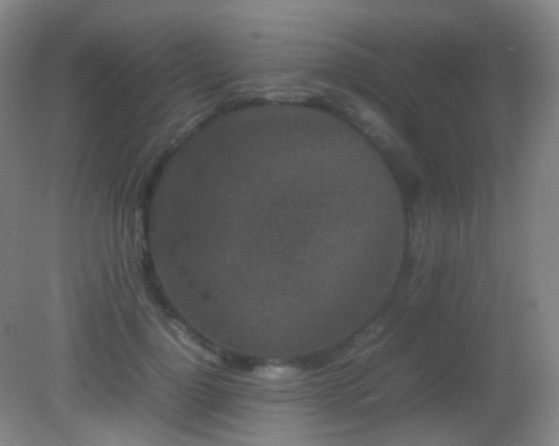 X0000082940748200702011305