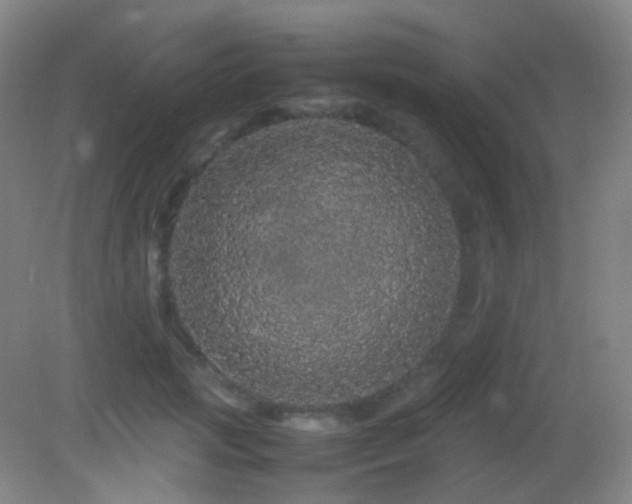 X0000082940749200702011305